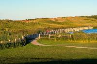 Dunelands Trail in Cavendish, Prince Edward Island |  <i>Tourism PEI/Paul Baglole</i>