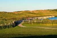 Dunelands Trail in Cavendish, Prince Edward Island |  <i>Tourism PEI/Paul Baglole</i>