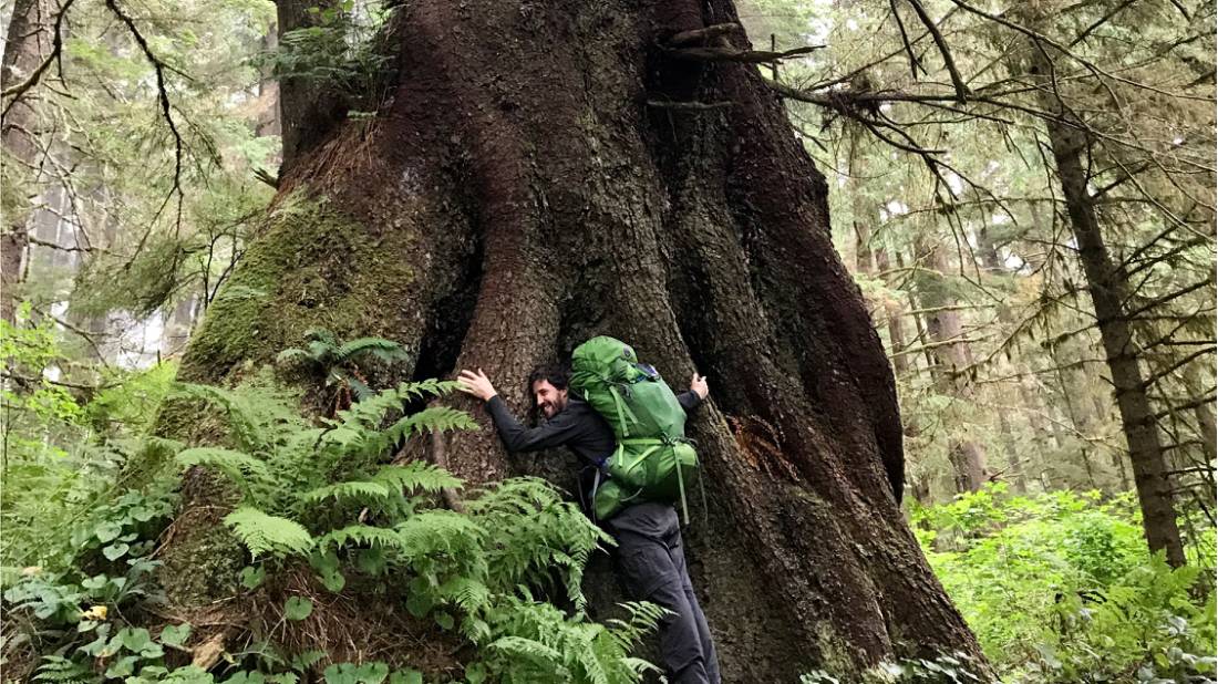 Lots of love for the giant cedar trees in Pacific Rim NP |  <i>Patrick Troughton</i>
