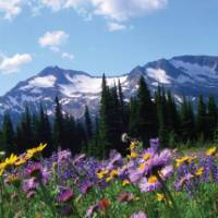 Outstanding alpine scenery of Wells Gray, BC