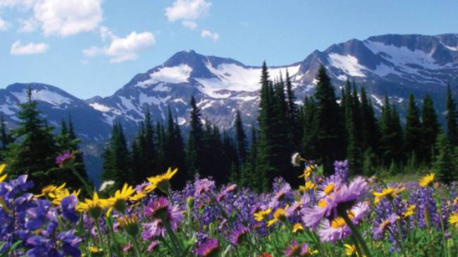 Outstanding alpine scenery of Wells Gray, BC