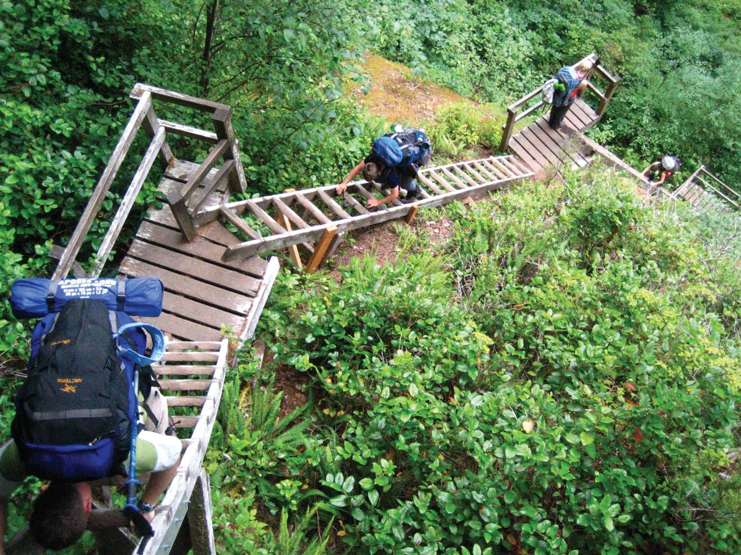 Climbing ladders on the West Coast Trail |  <i>The Great Canadian Bucket List</i>