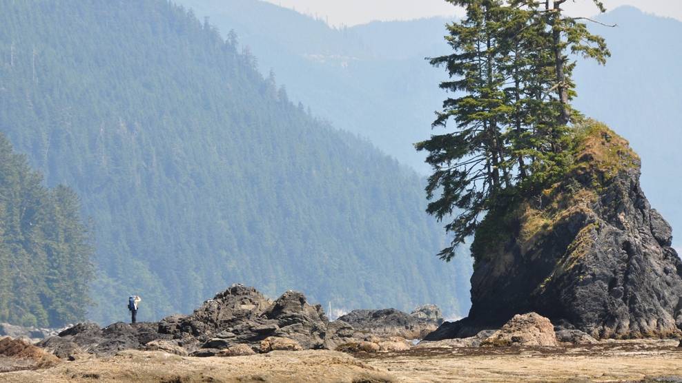 Otherworldly scenery on the West Coast Trail |  <i>Kelly Kurtz</i>