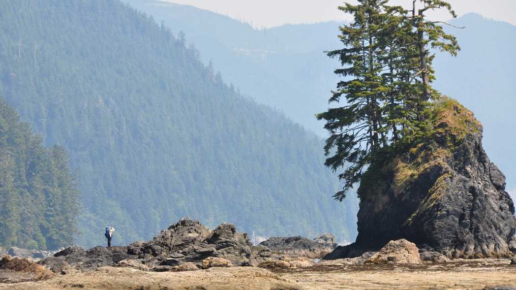 Otherworldly scenery on the West Coast Trail | Kelly Kurtz