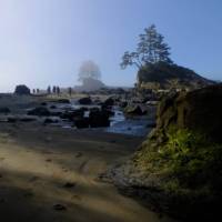 Dreamlike beach walk near Carmanah Point - No filter necessary | Keri May