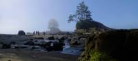 Dreamlike beach walk near Carmanah Point - No filter necessary | Keri May