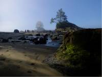 Dreamlike beach walk near Carmanah Point - No filter necessary |  <i>Keri May</i>