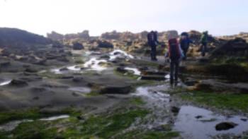 Not one day is the same as the next while hiking the West Coast Trail