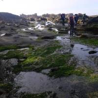 Not one day is the same as the next while hiking the West Coast Trail