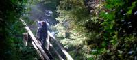 Experience the magic of BC's old growth forests | Keri May