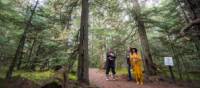 Forest walk at the Squamish Lil'wat Cultural Centre | Blake Jorgensen