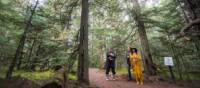 Forest walk at the Squamish Lil'wat Cultural Centre | Blake Jorgensen