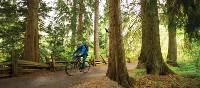 Cycling the Sea to Sky Trail in Whistler Valley | Tourism Whistler/Mike Crane