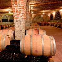 Visit a wine cellar at one of many Niagara wineries