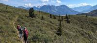Put your hiking boots on – Kluane National Park is full of beautiful trails | Trevor Sauve