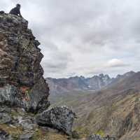 Looking towards Mount Monolith in Tombstone Territorial Park | Trevor Sauve