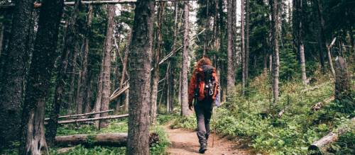 Solo hiking deals boots
