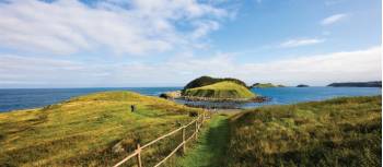 Island views from the East Coast Trail at Tors Cove | Barrett & MacKay Photo