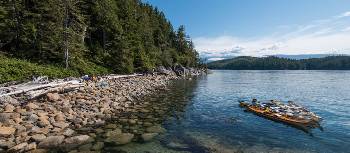 Parking lots look a lot different in the coastal rainforest | Jenn Dickie Photography