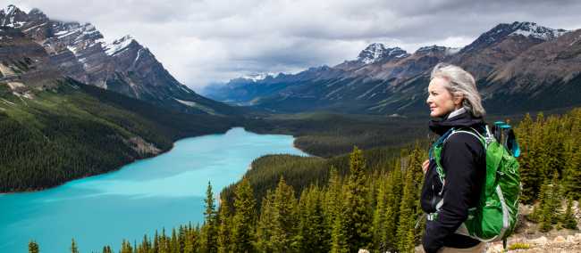 Take in the breathtaking views of Peyto Lake in Banff National Park