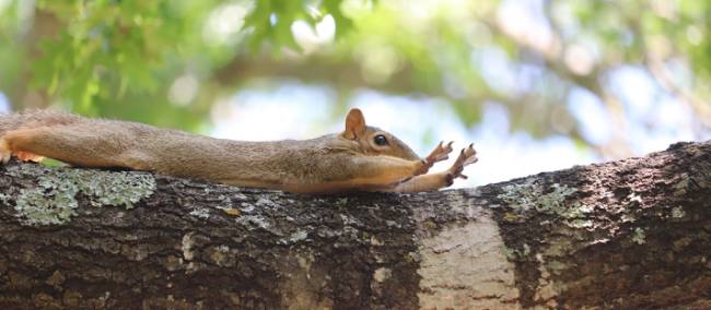 Breathe in, breathe out and relax your muscles