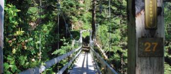 Bridge 27 of 147 over Tsocawis Creek, WCT | Nicole Moreau